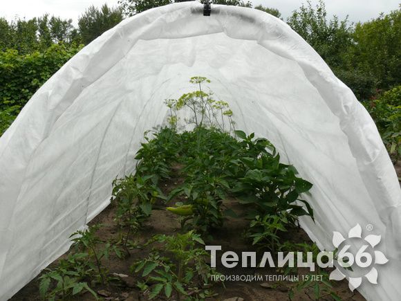 Парник Агроном, длина от 4 м., агроткань в комплекте